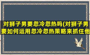 对狮子男要忽冷忽热吗(对狮子男要如何运用忽冷忽热策略来抓住他的心？)