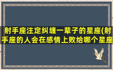 射手座注定纠缠一辈子的星座(射手座的人会在感情上败给哪个星座的人)