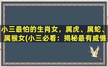 小三最怕的生肖女，属虎、属蛇、属猴女(小三必看：揭秘最有威慑力的生肖女排行榜)