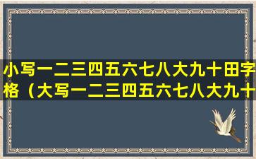 小写一二三四五六七八大九十田字格（大写一二三四五六七八大九十在田字格里的格式）