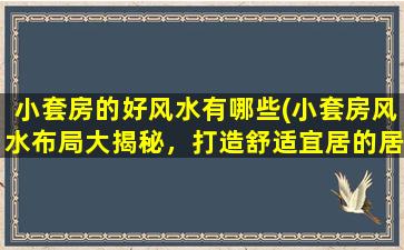 小套房的好风水有哪些(小套房风水布局大揭秘，打造舒适宜居的居家生活！)