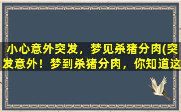 小心意外突发，梦见杀猪分肉(突发意外！梦到杀猪分肉，你知道这意味着什么吗？)