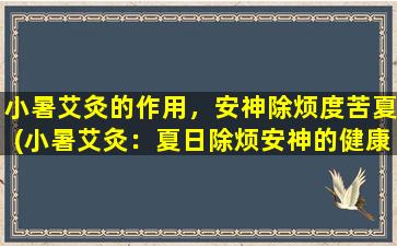 小暑艾灸的作用，安神除烦度苦夏(小暑艾灸：夏日除烦安神的健康良方)