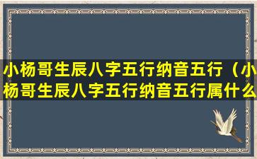 小杨哥生辰八字五行纳音五行（小杨哥生辰八字五行纳音五行属什么）