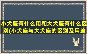 小犬座有什么用和大犬座有什么区别(小犬座与大犬座的区别及用途详解)