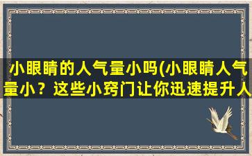 小眼睛的人气量小吗(小眼睛人气量小？这些小窍门让你迅速提升人气！)