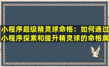 小程序超级精灵球命格：如何通过小程序探索和提升精灵球的命格属性