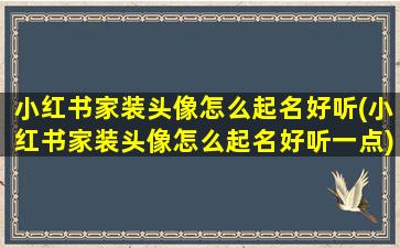 小红书家装头像怎么起名好听(小红书家装头像怎么起名好听一点)