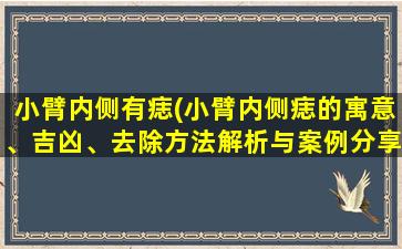 小臂内侧有痣(小臂内侧痣的寓意、吉凶、去除方法解析与案例分享)