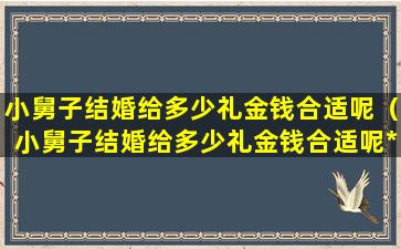 小舅子结婚给多少礼金钱合适呢（小舅子结婚给多少礼金钱合适呢*）