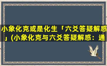 小象化克或是化生「六爻答疑解惑」(小象化克与六爻答疑解惑：通俗易懂的六爻解析指南)