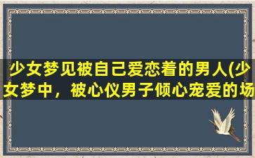 少女梦见被自己爱恋着的男人(少女梦中，被心仪男子倾心宠爱的场景)