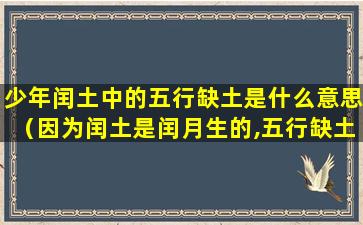 少年闰土中的五行缺土是什么意思（因为闰土是闰月生的,五行缺土,所以叫他闰土）