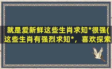 就是爱新鲜这些生肖求知*很强(这些生肖有强烈求知*，喜欢探索爱新鲜！)