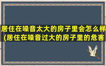 居住在噪音太大的房子里会怎么样(居住在噪音过大的房子里的危害及解决方法)