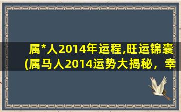 属*人2014年运程,旺运锦囊(属马人2014运势大揭秘，幸运锦囊助您顺风顺水)