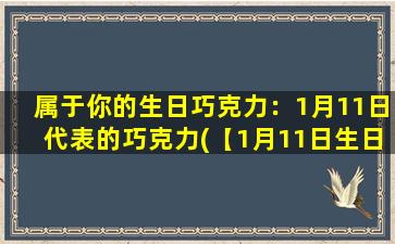 属于你的生日巧克力：1月11日代表的巧克力(【1月11日生日巧克力】深度解析以及选购指南)