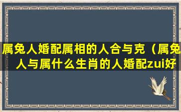 属兔人婚配属相的人合与克（属兔人与属什么生肖的人婚配zui好）