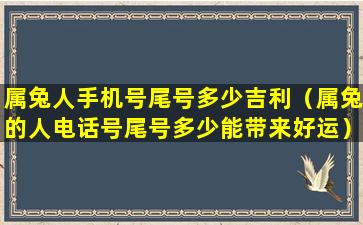 属兔人手机号尾号多少吉利（属兔的人电话号尾号多少能带来好运）