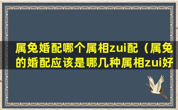 属兔婚配哪个属相zui配（属兔的婚配应该是哪几种属相zui好）