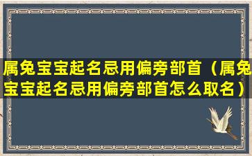 属兔宝宝起名忌用偏旁部首（属兔宝宝起名忌用偏旁部首怎么取名）