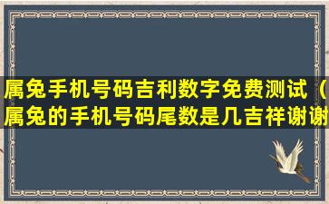 属兔手机号码吉利数字免费测试（属兔的手机号码尾数是几吉祥谢谢你）