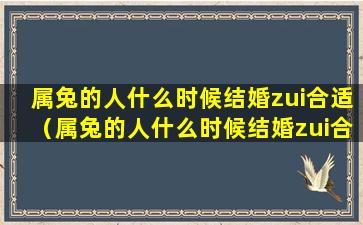 属兔的人什么时候结婚zui合适（属兔的人什么时候结婚zui合适女人）