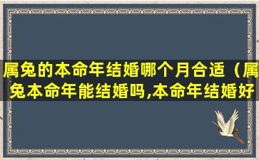 属兔的本命年结婚哪个月合适（属兔本命年能结婚吗,本命年结婚好吗）