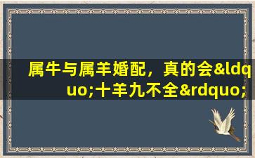 属牛与属羊婚配，真的会“十羊九不全”吗