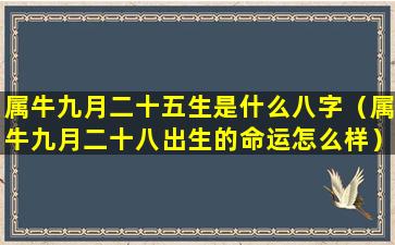 属牛九月二十五生是什么八字（属牛九月二十八出生的命运怎么样）