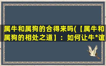 属牛和属狗的合得来吗(【属牛和属狗的相处之道】：如何让牛*谊长存？)