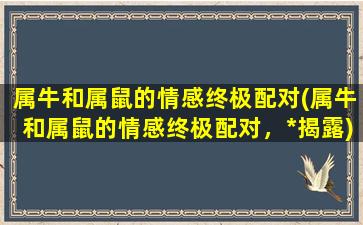 属牛和属鼠的情感终极配对(属牛和属鼠的情感终极配对，*揭露)