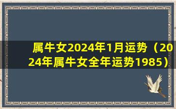 属牛女2024年1月运势（2024年属牛女全年运势1985）