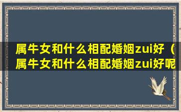 属牛女和什么相配婚姻zui好（属牛女和什么相配婚姻zui好呢）