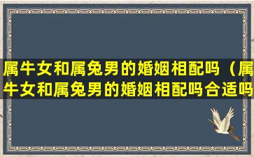 属牛女和属兔男的婚姻相配吗（属牛女和属兔男的婚姻相配吗合适吗）