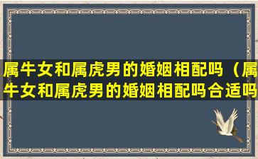 属牛女和属虎男的婚姻相配吗（属牛女和属虎男的婚姻相配吗合适吗）