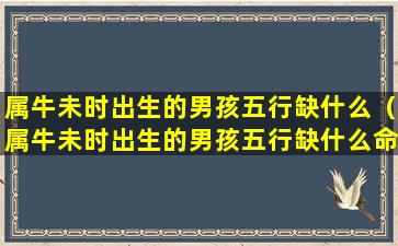 属牛未时出生的男孩五行缺什么（属牛未时出生的男孩五行缺什么命格）