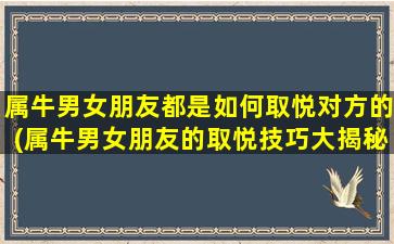 属牛男女朋友都是如何取悦对方的(属牛男女朋友的取悦技巧大揭秘！)