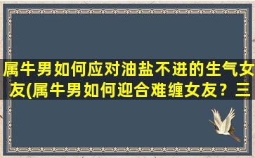 属牛男如何应对油盐不进的生气女友(属牛男如何迎合难缠女友？三招有效缓解油盐不进的情绪！)