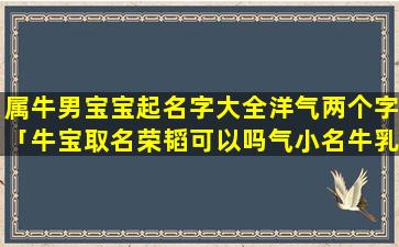 属牛男宝宝起名字大全洋气两个字「牛宝取名荣韬可以吗气小名牛乳名」