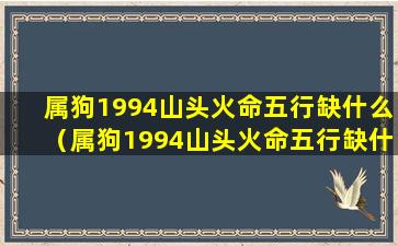 属狗1994山头火命五行缺什么（属狗1994山头火命五行缺什么辟邪呢）