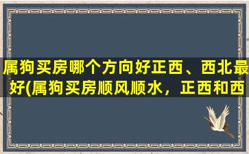 属狗买房哪个方向好正西、西北最好(属狗买房顺风顺水，正西和西北最佳选择！)