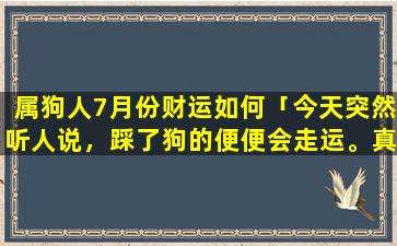 属狗人7月份财运如何「今天突然听人说，踩了狗的便便会走运。真的假的」