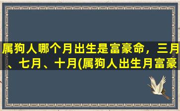 属狗人哪个月出生是富豪命，三月、七月、十月(属狗人出生月富豪命，这三个月居中，你的出生月份是否在其中？)