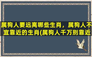 属狗人要远离哪些生肖，属狗人不宜靠近的生肖(属狗人千万别靠近这些生肖！)