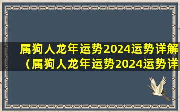 属狗人龙年运势2024运势详解（属狗人龙年运势2024运势详解女性）