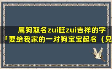 属狗取名zui旺zui吉祥的字「要给我家的一对狗宝宝起名（兄妹）要好听一点，拜托大家了」