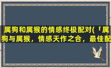 属狗和属猴的情感终极配对(「属狗与属猴，情感天作之合，最佳配对解析」)