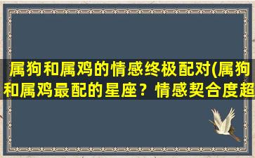 属狗和属鸡的情感终极配对(属狗和属鸡最配的星座？情感契合度超高的两个属相！)