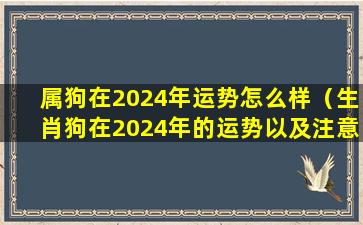 属狗在2024年运势怎么样（生肖狗在2024年的运势以及注意月份）